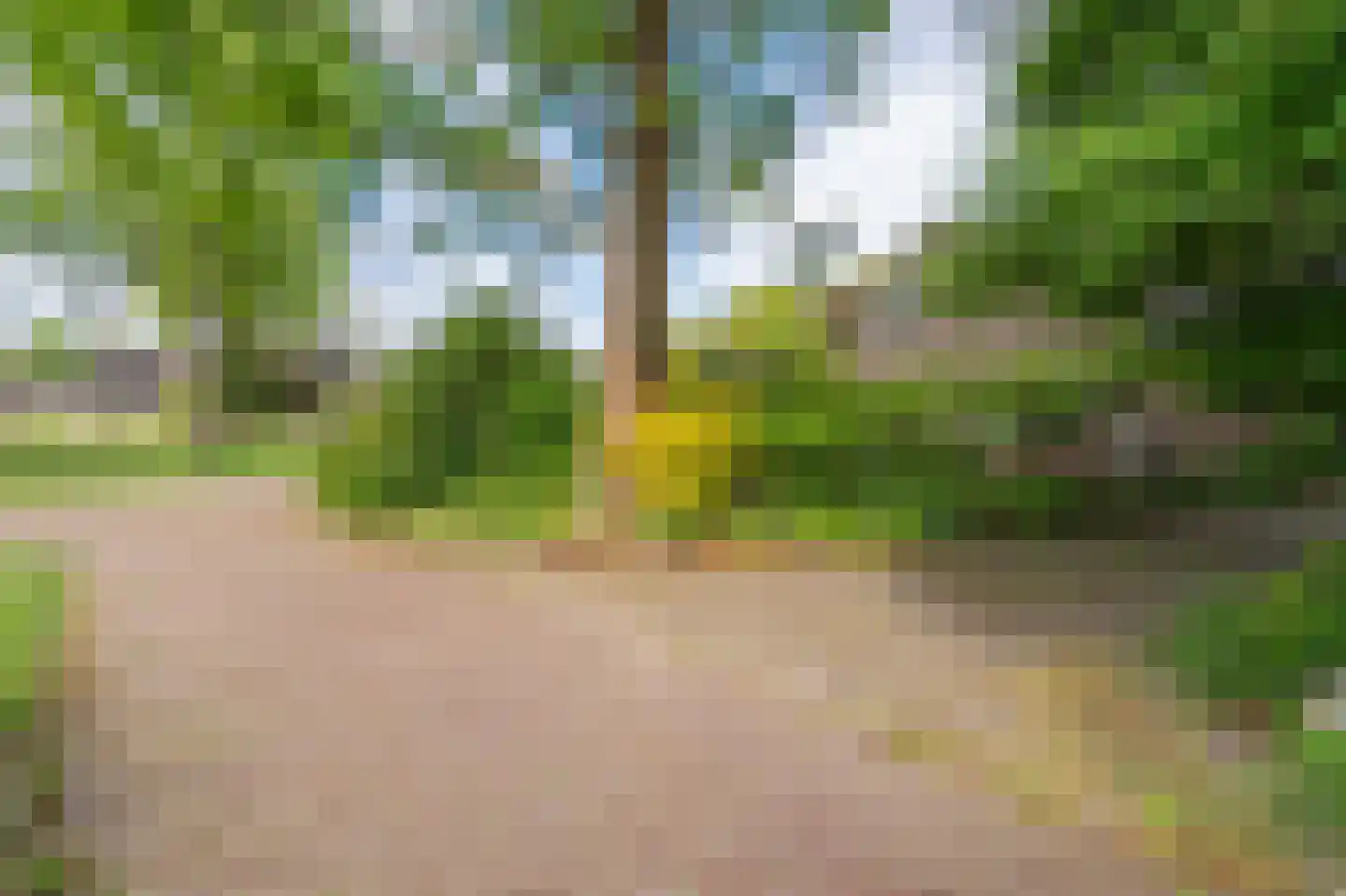 Zandherenlaan 2 Rolde thumbnail 7