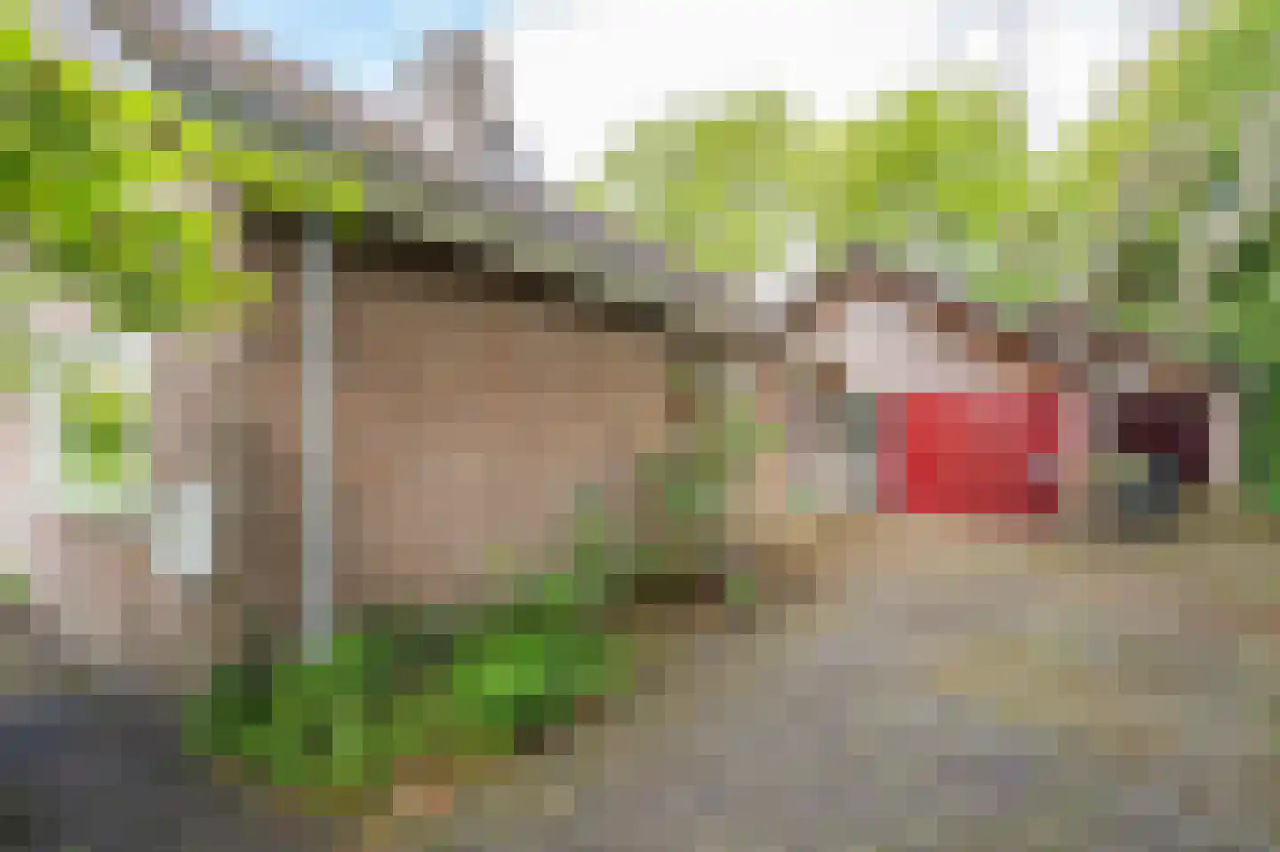 Zandherenlaan 2 Rolde thumbnail 8