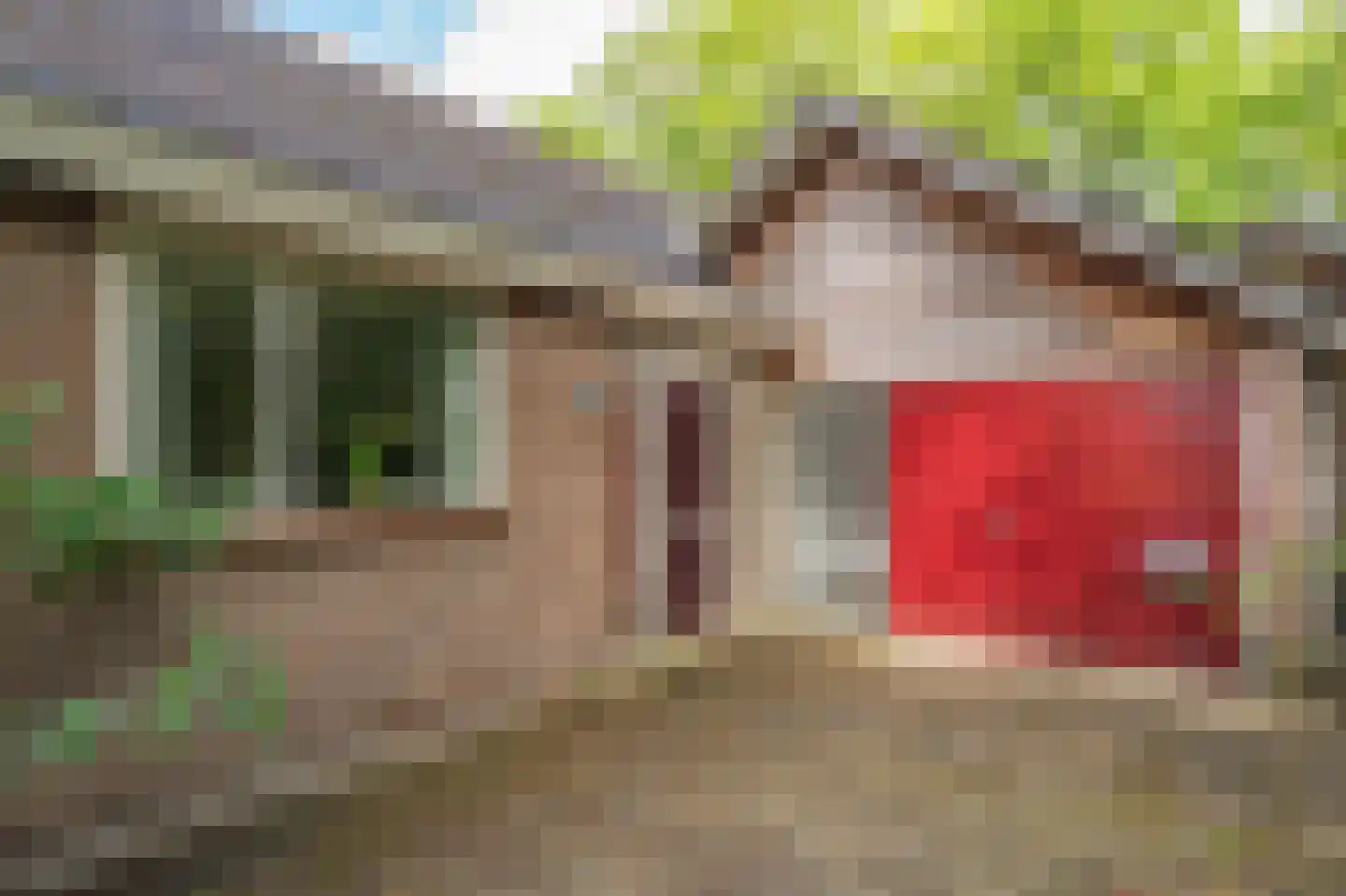Zandherenlaan 2 Rolde thumbnail 9
