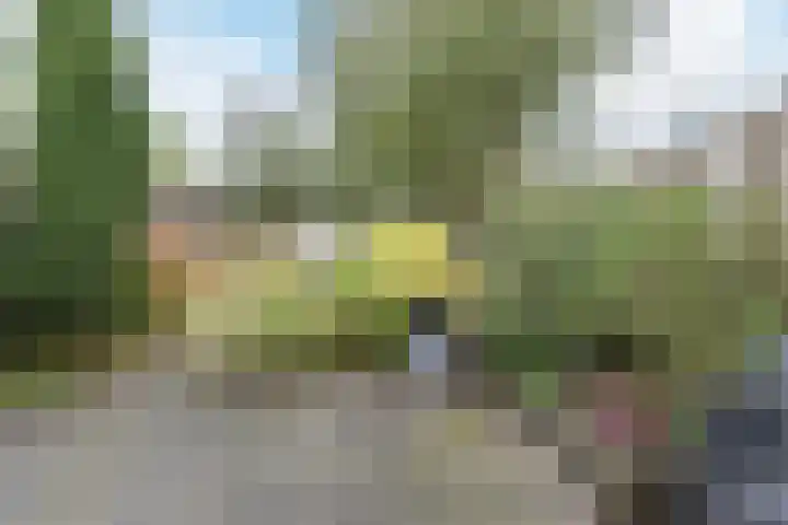 Zandheuvel 107 Oosterhout thumbnail 20