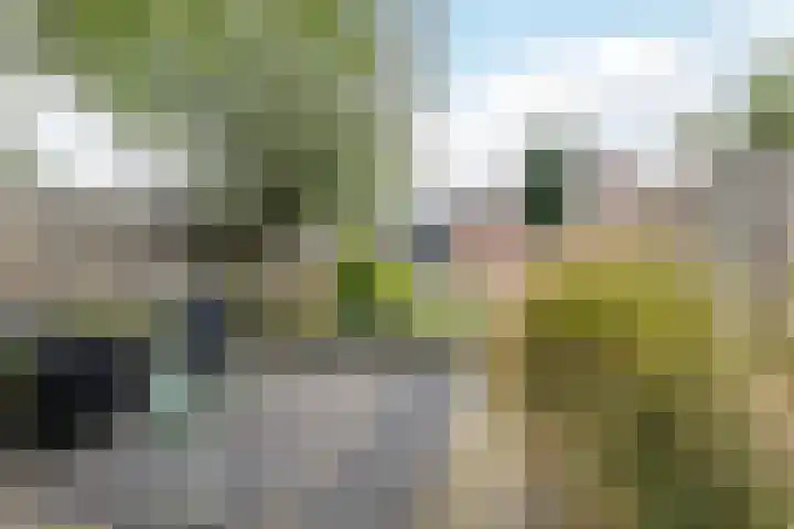 Zandheuvel 107 Oosterhout thumbnail 22