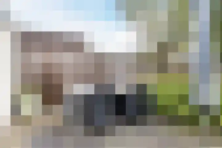 Zandheuvel 107 Oosterhout thumbnail 23