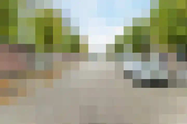 Zandheuvel 107 Oosterhout thumbnail 40
