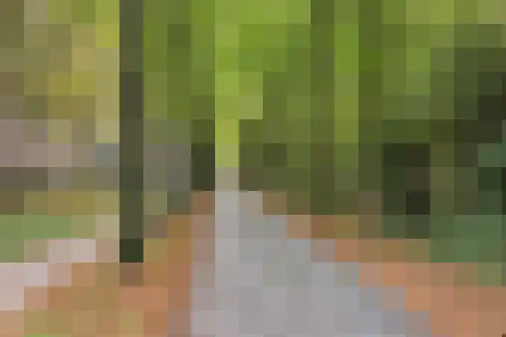 Zandheuvel 107 Oosterhout thumbnail 41