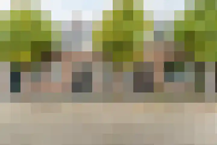 Zandheuvel 107 Oosterhout thumbnail 5