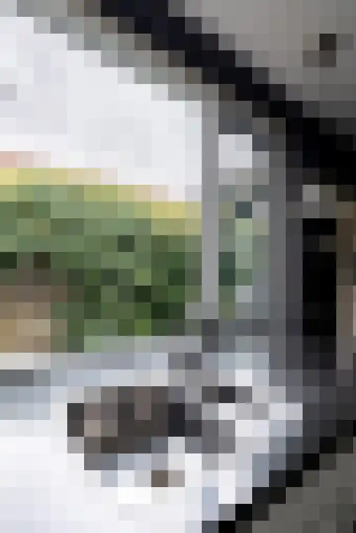 Zandheuvel 111 Oosterhout thumbnail 25