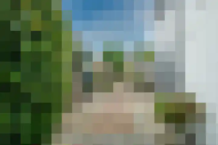 Zandheuvel 111 Oosterhout thumbnail 4
