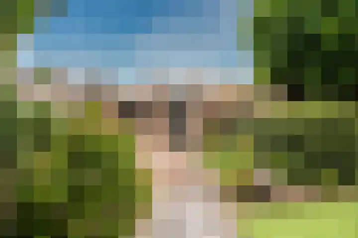 Zandheuvel 111 Oosterhout thumbnail 49
