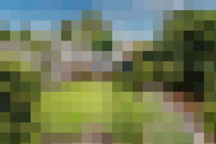Zandheuvel 111 Oosterhout thumbnail 52
