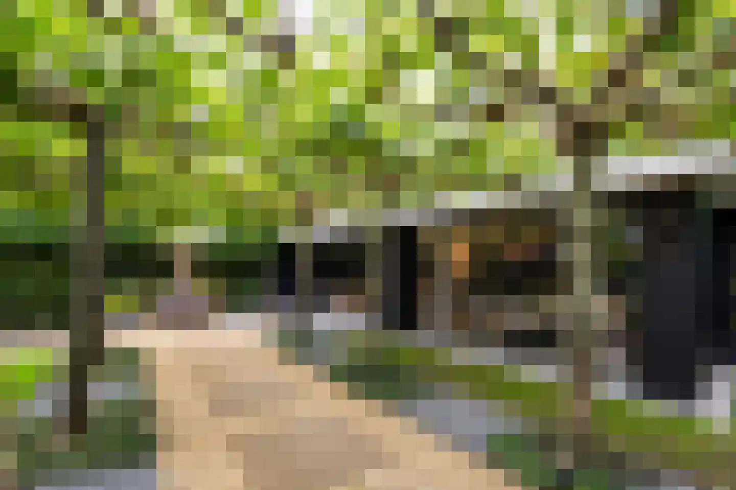Zandheuvel 15 Kortenhoef thumbnail 35