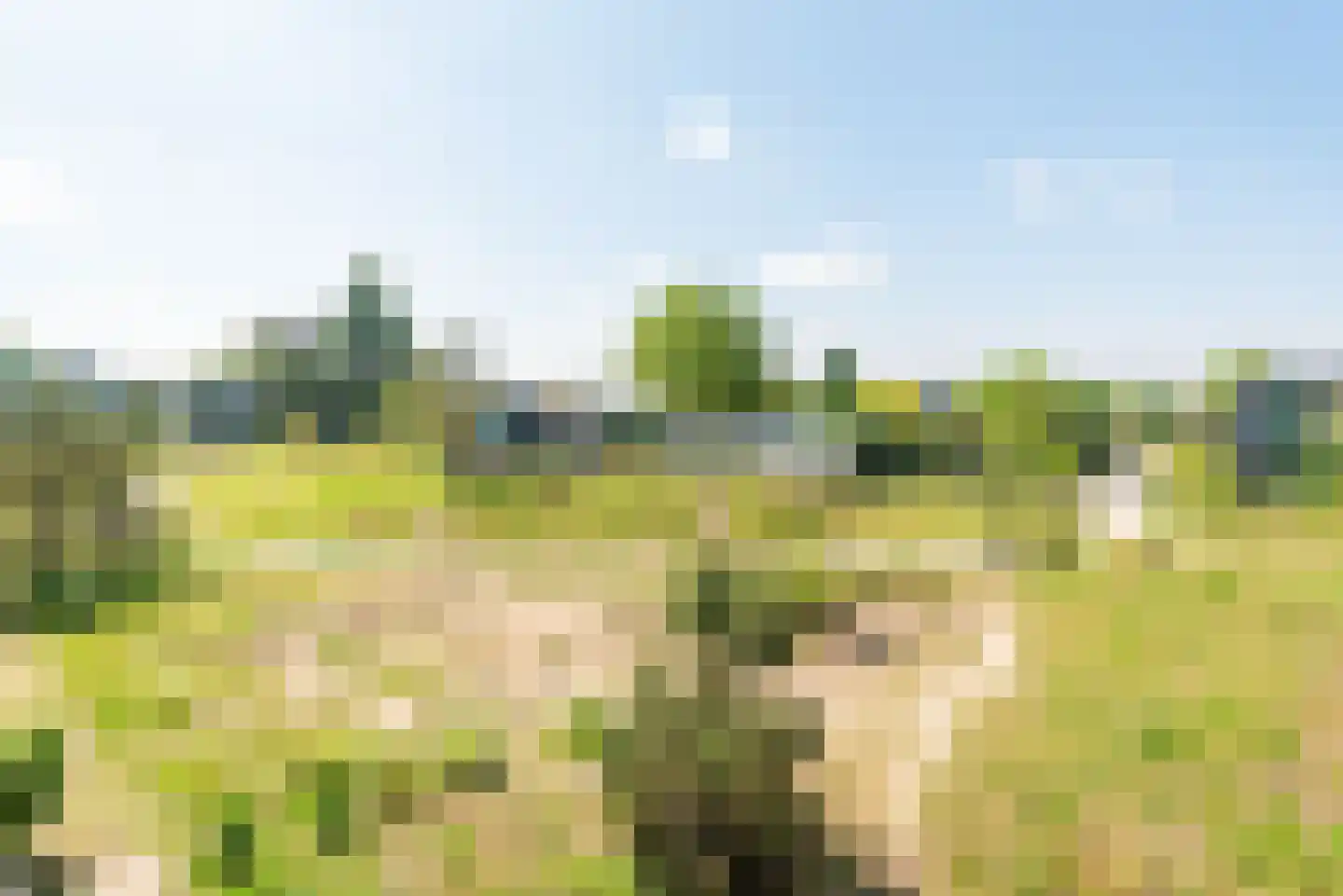Zandheuvel 15 Silvolde thumbnail 23