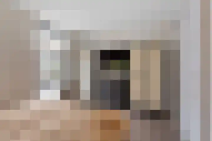 Zandheuvel 18 Silvolde thumbnail 17