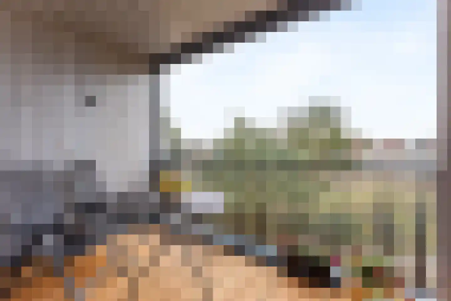 Zandheuvel 18 Silvolde thumbnail 19