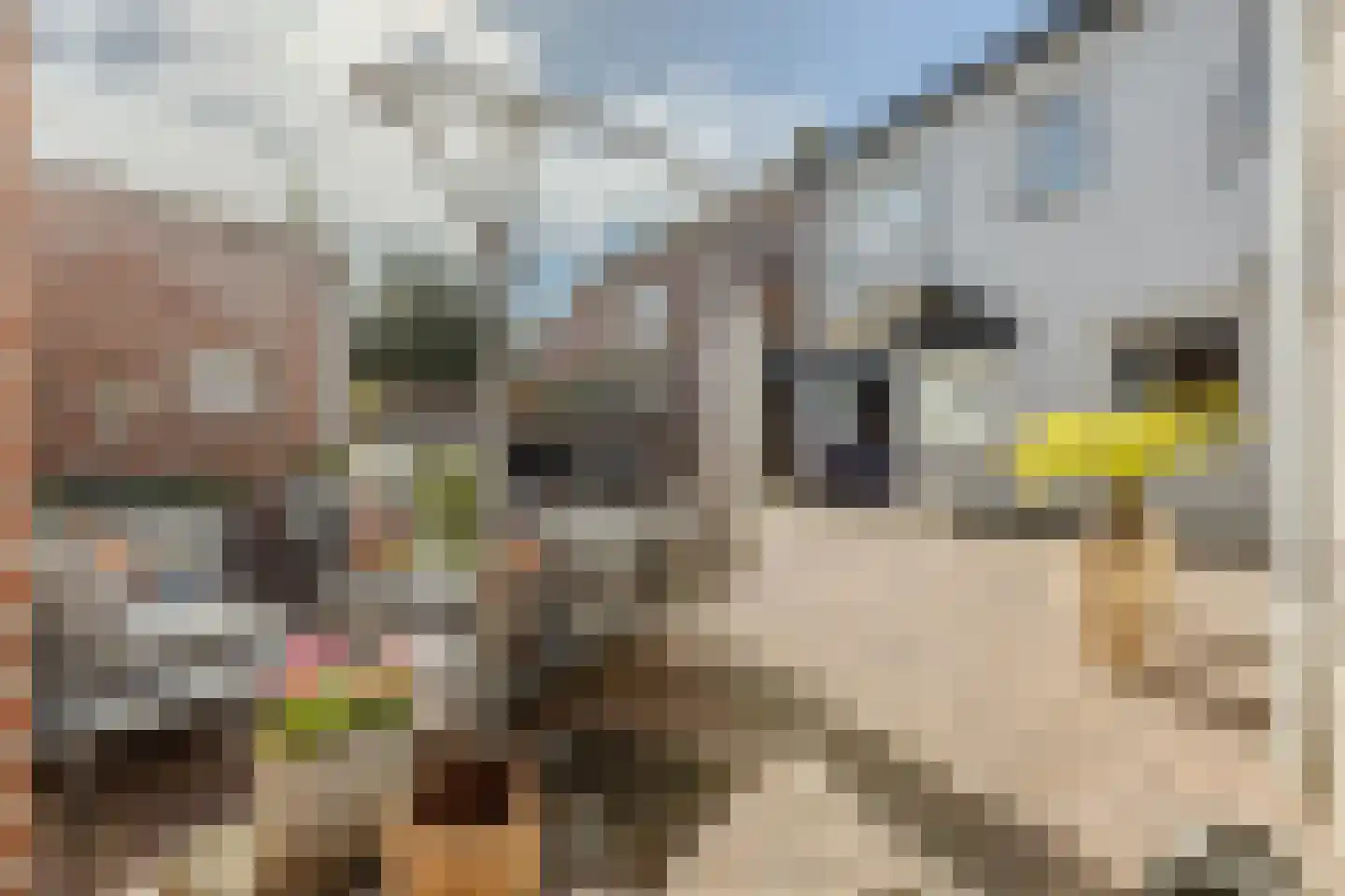 Zandheuvel 23 Oosterhout thumbnail 40