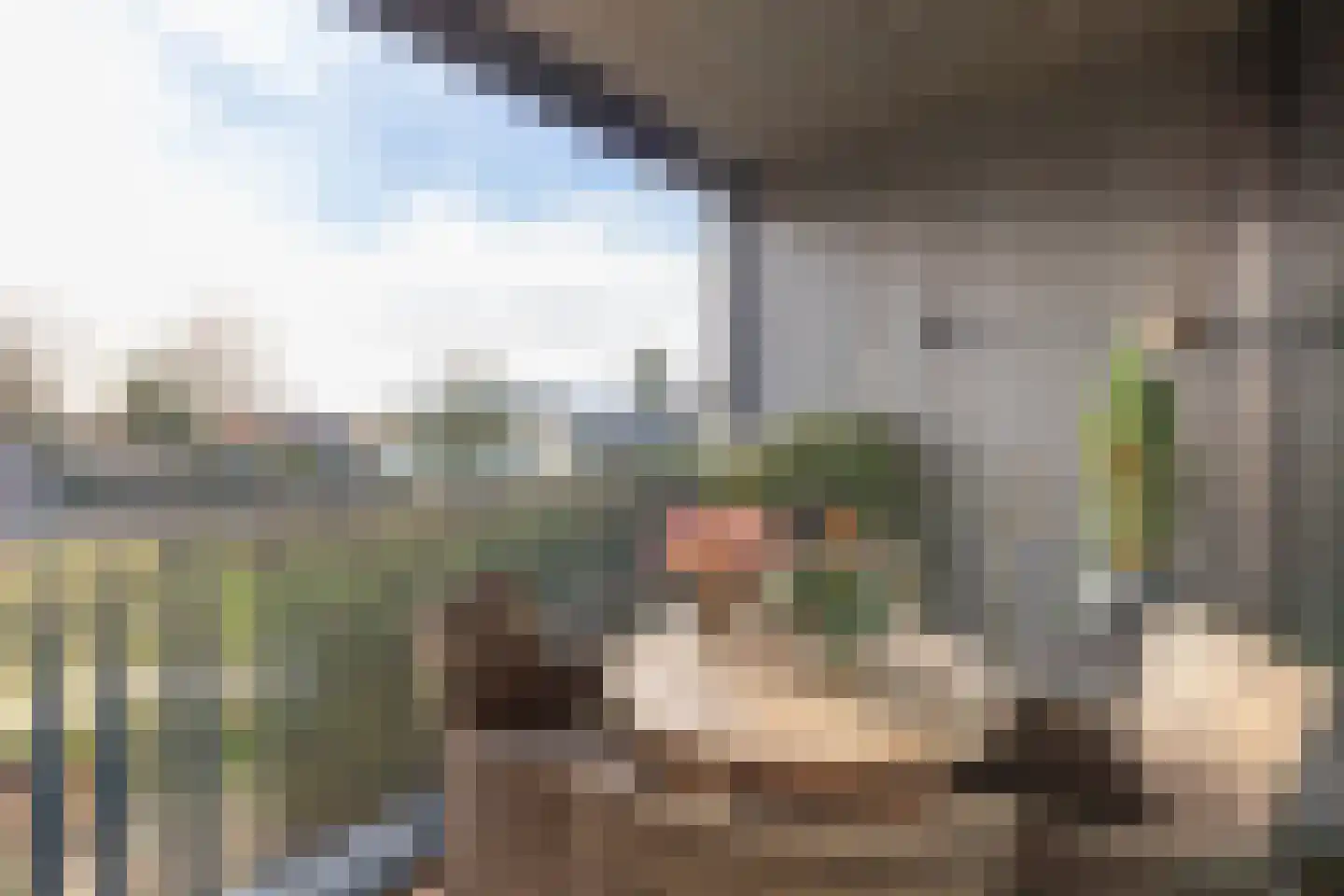Zandheuvel 25 Silvolde thumbnail 21