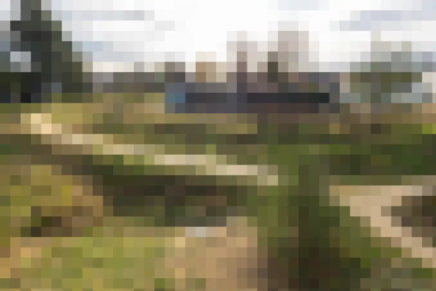 Zandheuvel 25 Silvolde thumbnail 23