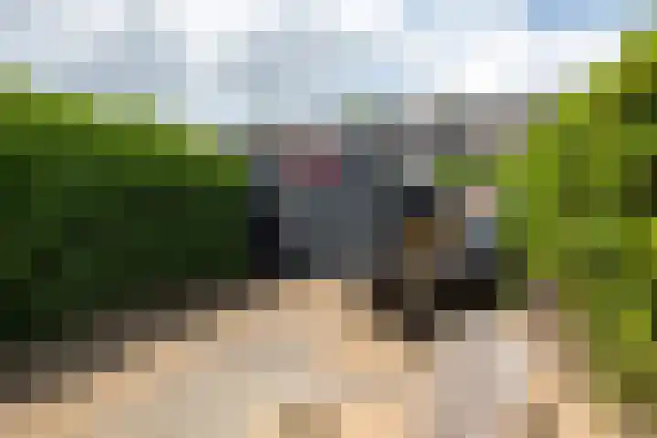 Zandheuvel 26 Kortenhoef thumbnail 18
