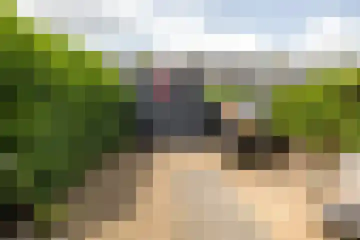 Zandheuvel 26 Kortenhoef thumbnail 19