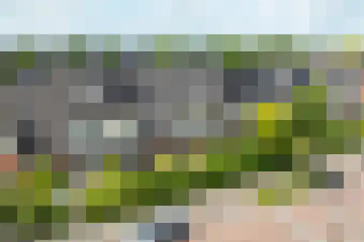 Zandheuvel 26 Kortenhoef thumbnail 22