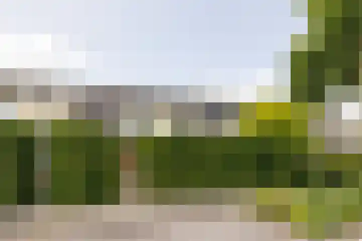 Zandheuvel 26 Kortenhoef thumbnail 23