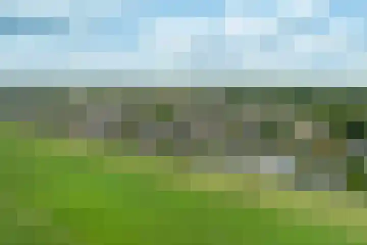 Zandheuvel 26 Kortenhoef thumbnail 24