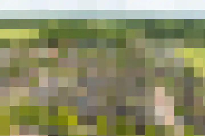 Zandheuvel 26 Kortenhoef thumbnail 26