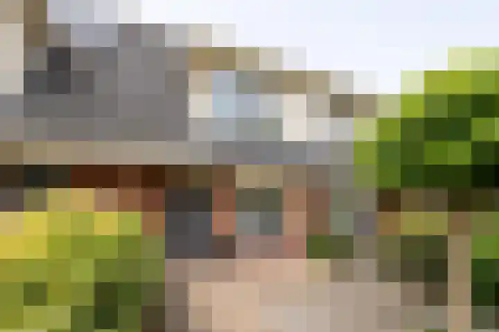 Zandheuvel 26 Kortenhoef thumbnail 4