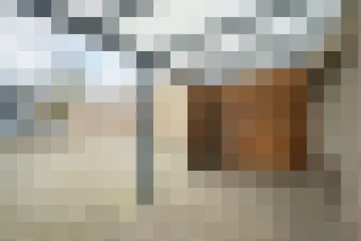 Zandheuvel 26 Oosterhout thumbnail 33