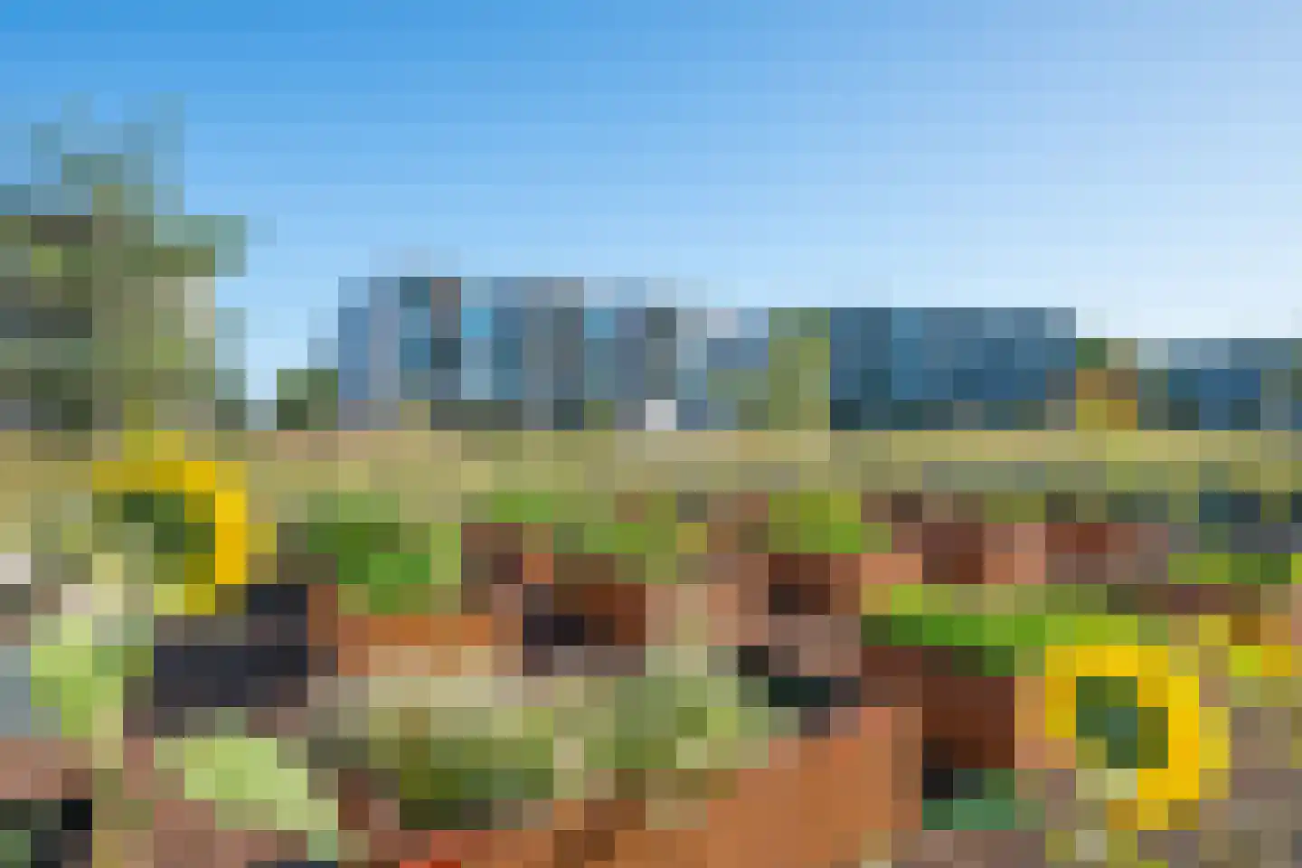 Zandheuvel 26 Silvolde thumbnail 4