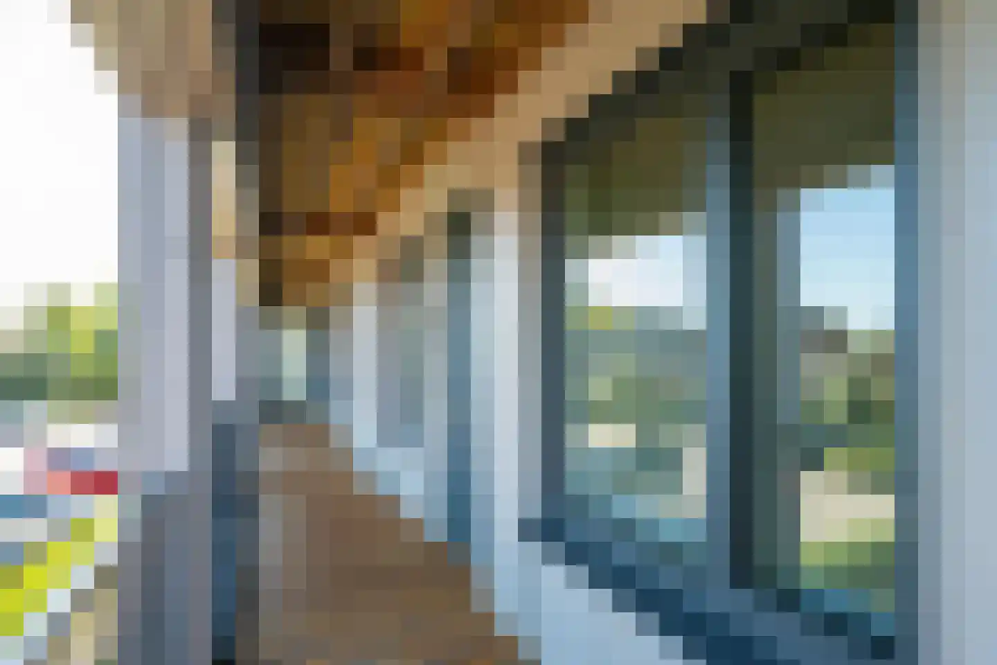 Zandheuvel 26 Silvolde thumbnail 5