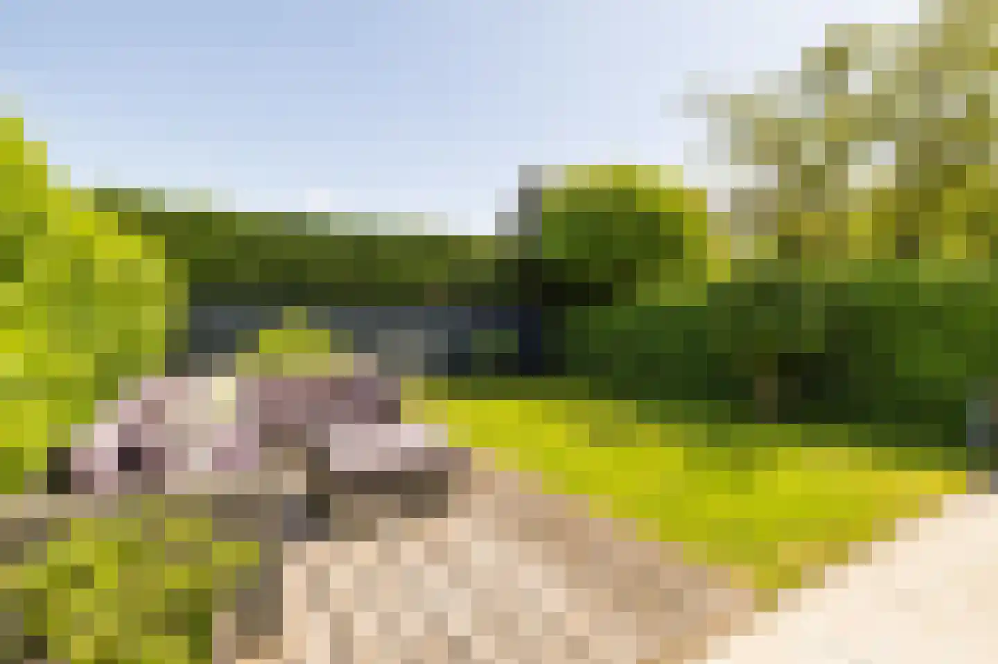 Zandheuvel 27 Kortenhoef thumbnail 15