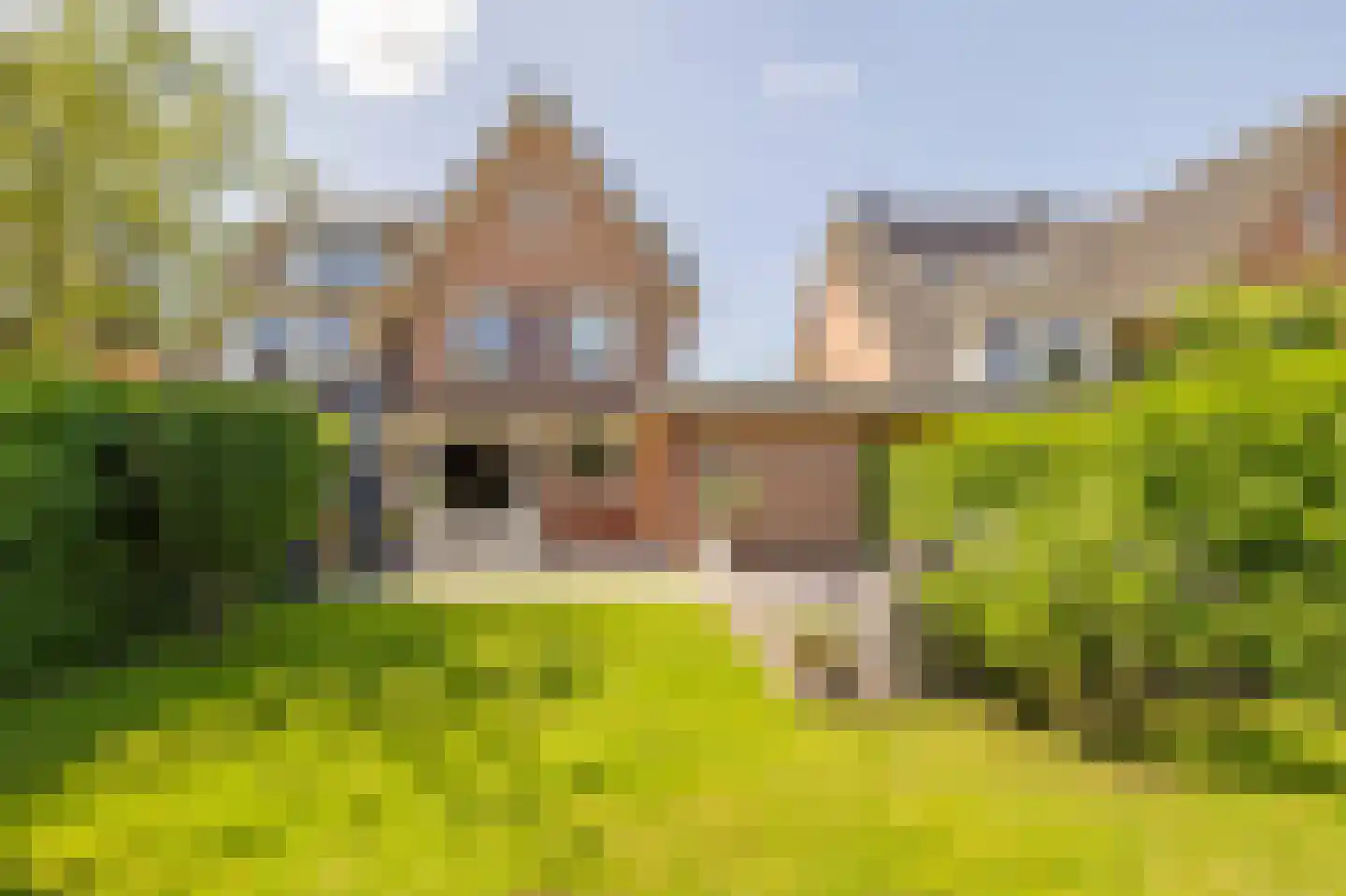 Zandheuvel 27 Kortenhoef thumbnail 25