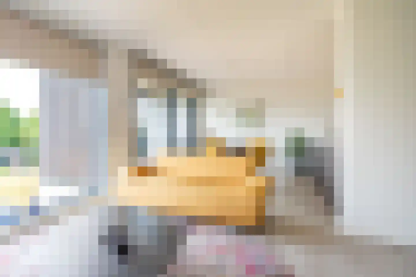 Zandheuvel 30 Silvolde thumbnail 11