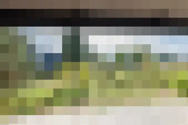 Zandheuvel 33 Silvolde thumbnail 23