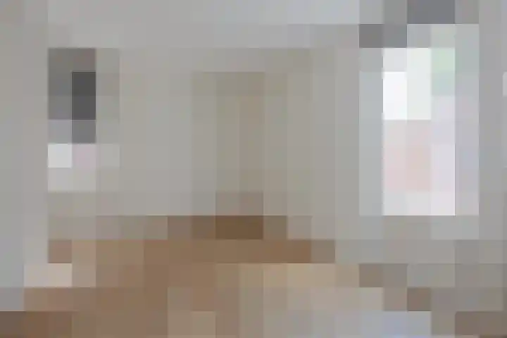 Zandheuvel 4 Raamsdonksveer thumbnail 17