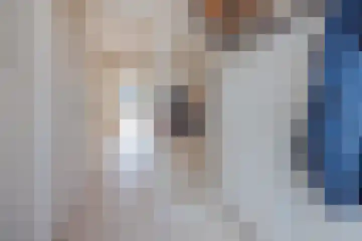 Zandheuvel 4 Raamsdonksveer thumbnail 22