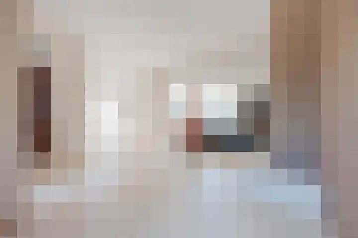 Zandheuvel 4 Raamsdonksveer thumbnail 24