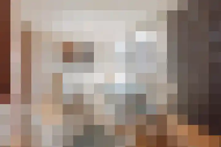 Zandheuvel 4 Raamsdonksveer thumbnail 30