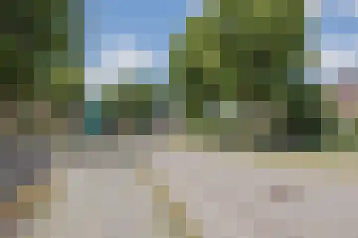 Zandheuvel 4 Raamsdonksveer thumbnail 40