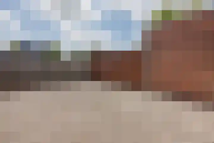 Zandheuvel 4 Raamsdonksveer thumbnail 42