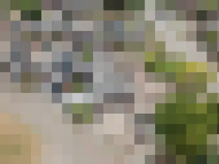 Zandheuvel 4 Raamsdonksveer thumbnail 51
