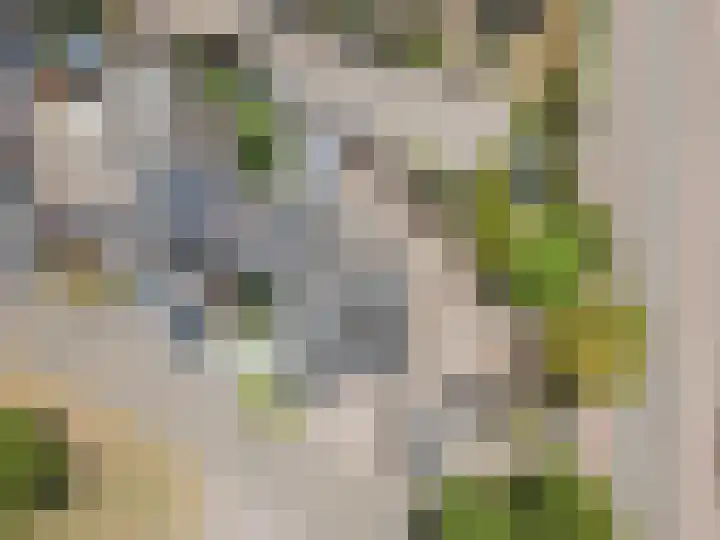 Zandheuvel 4 Raamsdonksveer thumbnail 6