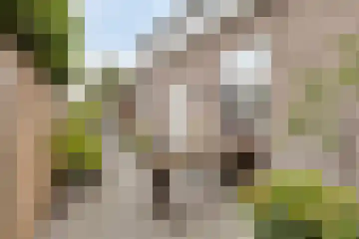 Zandheuvel 44 Oosterhout thumbnail 21