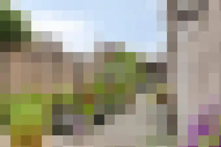 Zandheuvel 44 Oosterhout thumbnail 22