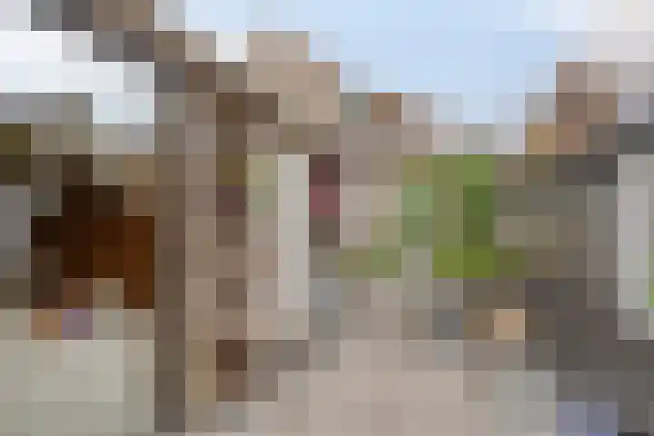 Zandheuvel 44 Oosterhout thumbnail 28