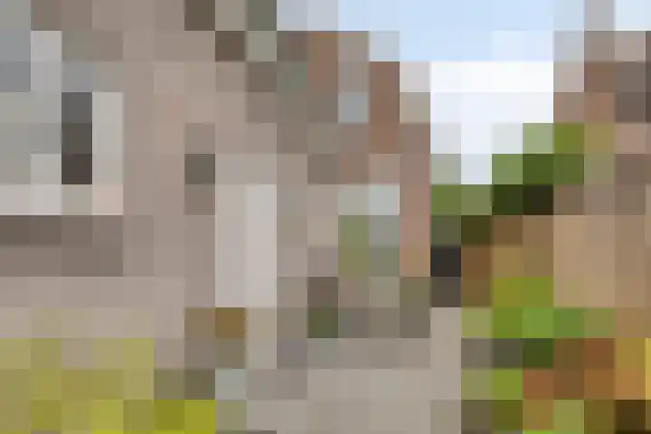 Zandheuvel 44 Oosterhout thumbnail 29