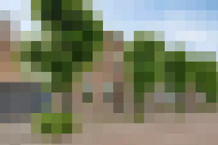 Zandheuvel 44 Oosterhout thumbnail 30