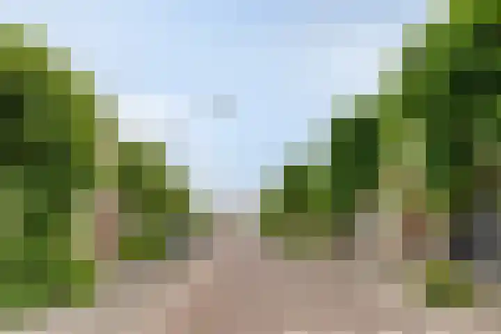 Zandheuvel 44 Oosterhout thumbnail 31