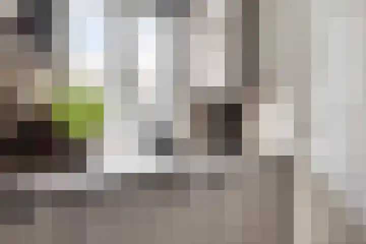Zandheuvel 44 Oosterhout thumbnail 9