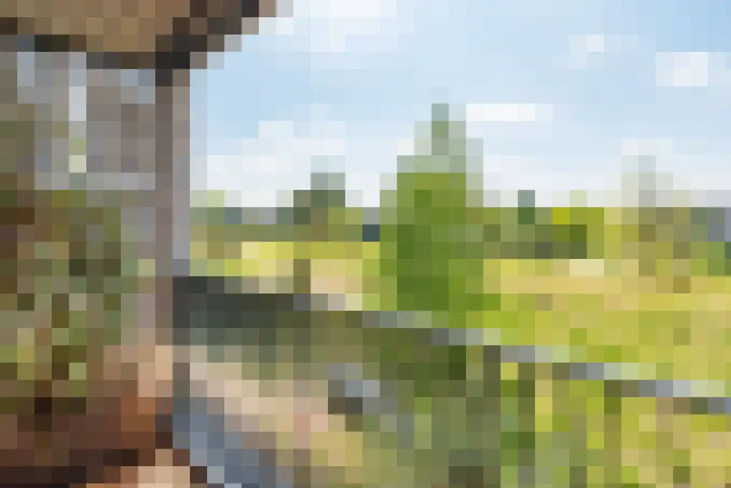 Zandheuvel 7 Silvolde thumbnail 21